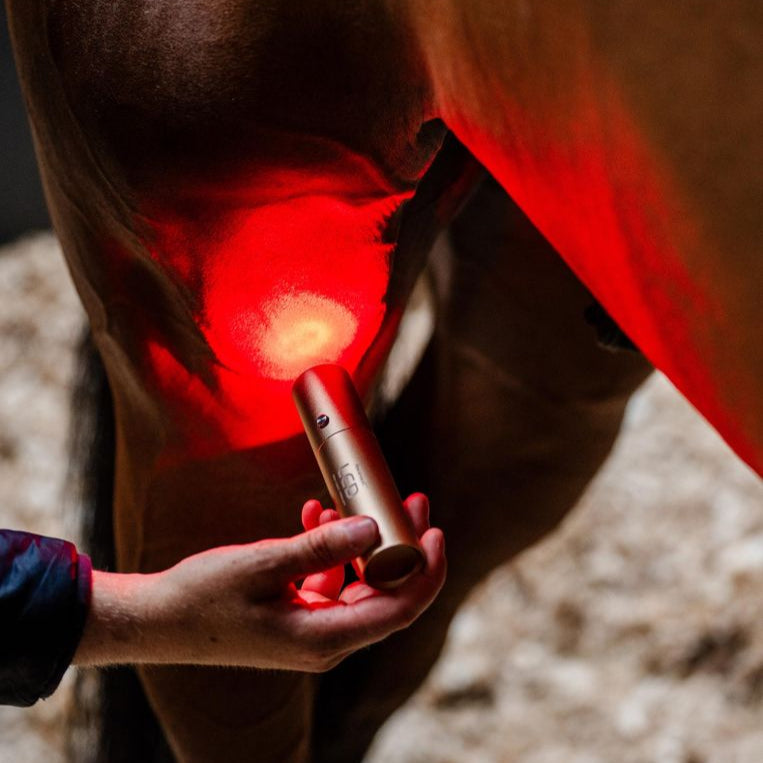 Horseware Ireland LED Red Light Therapy Wand #colour_black-black