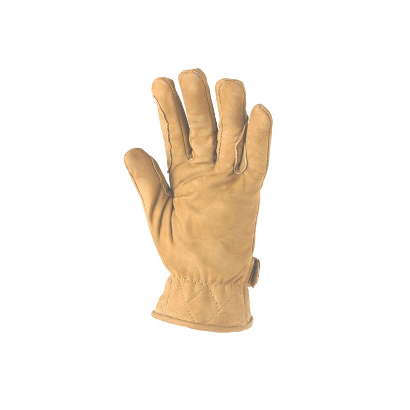 Toggi Dursley Nubuck Suede Glove #colour_buff