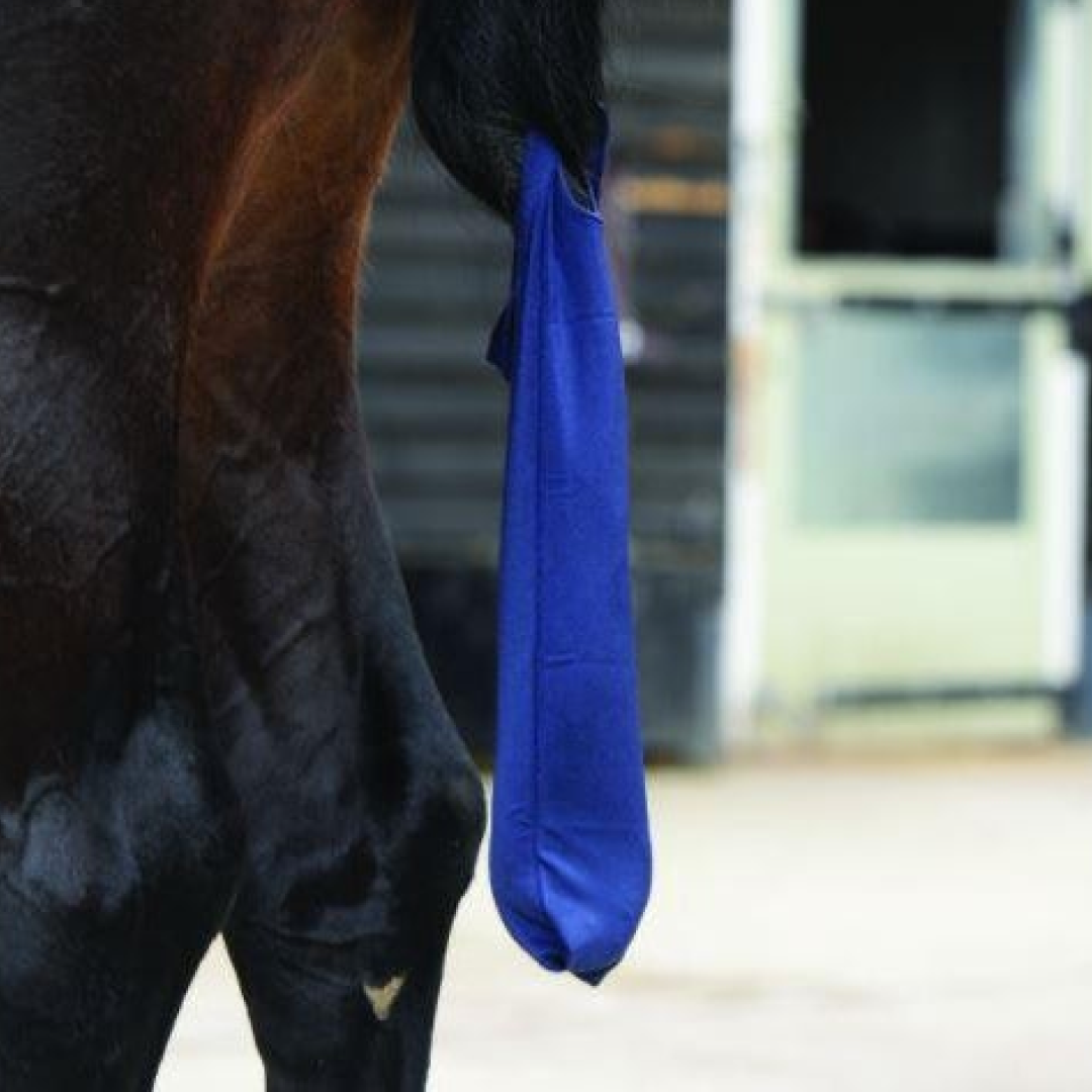 Weatherbeeta Lycra Tail Bag #colour_navy