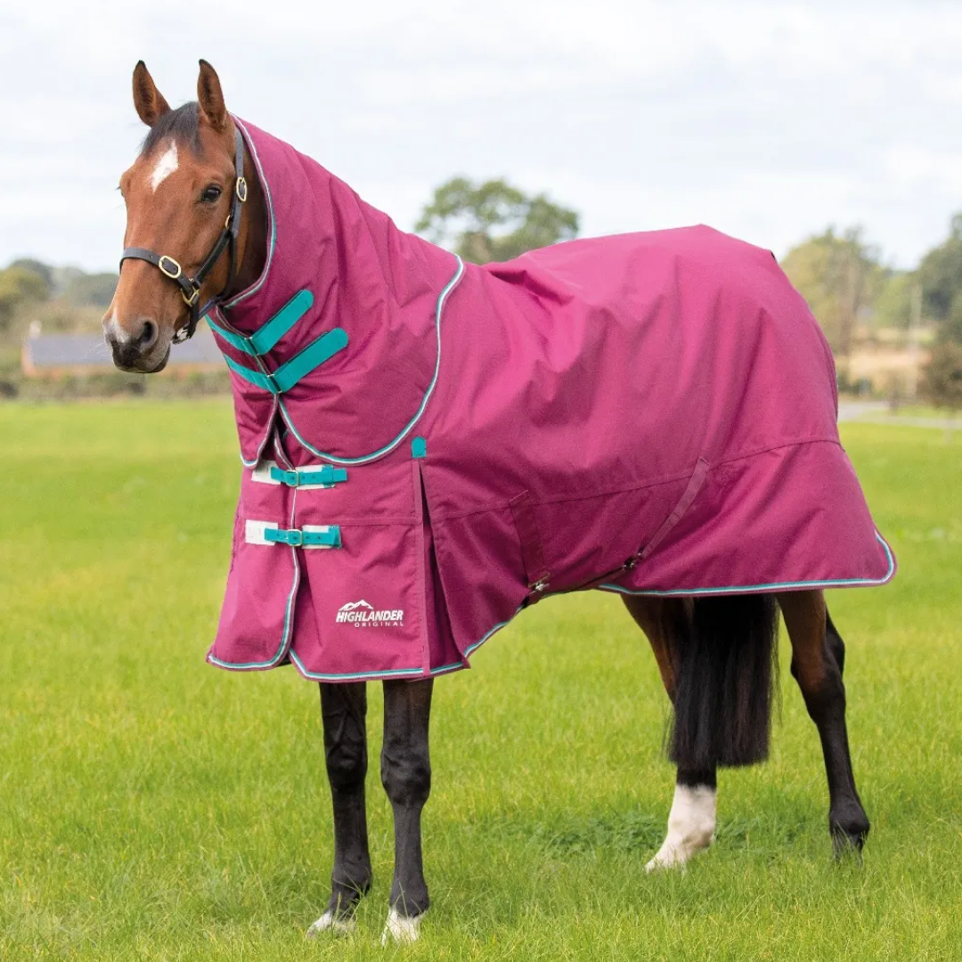 Shires Highlander Original 300g Turnout Rug & Neck #colour_raspberry