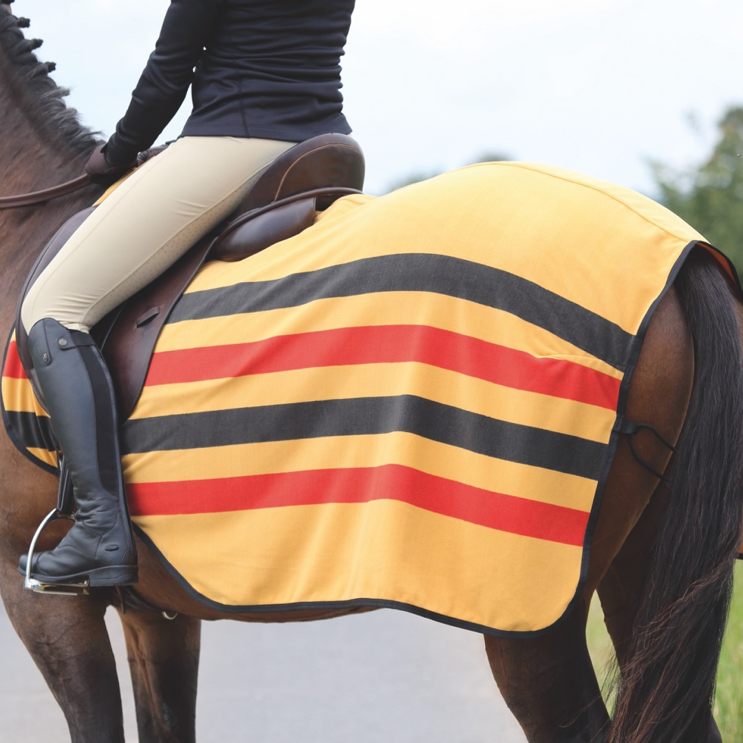 Shires Tempest Original Newmarket Feuille d'exercice en polaire
