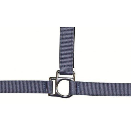 HKM Head Collar -Stars- with Soft Padding #colour_baby-blue