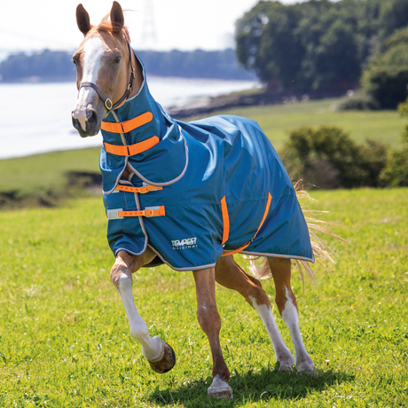 Shires Tempest Original Lite Turnout Rug with Detachable Neck #colour_teal