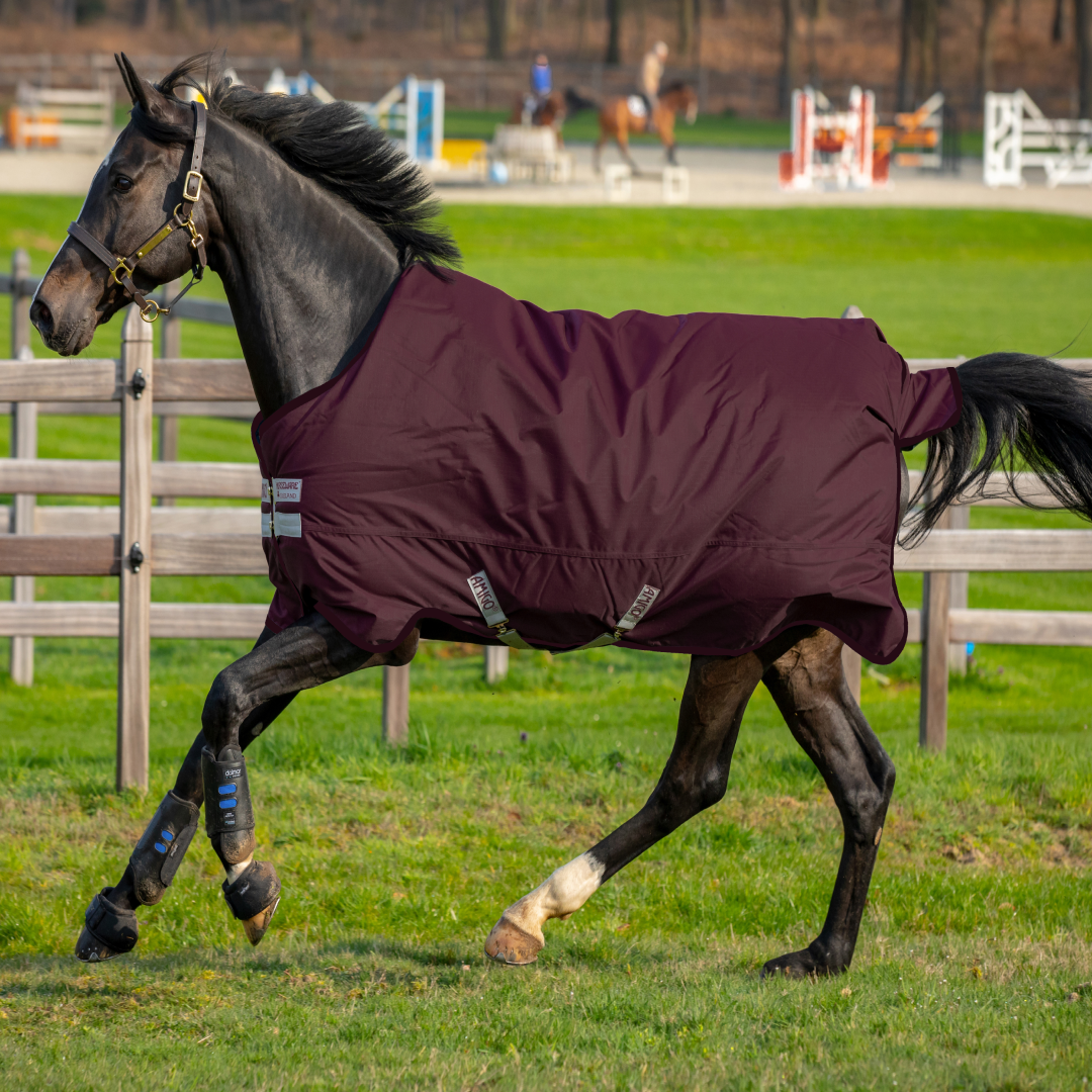 Horseware Ireland Amigo Hero 600D Ripstop Fleece Lined 50g Rug #colour_burgundy