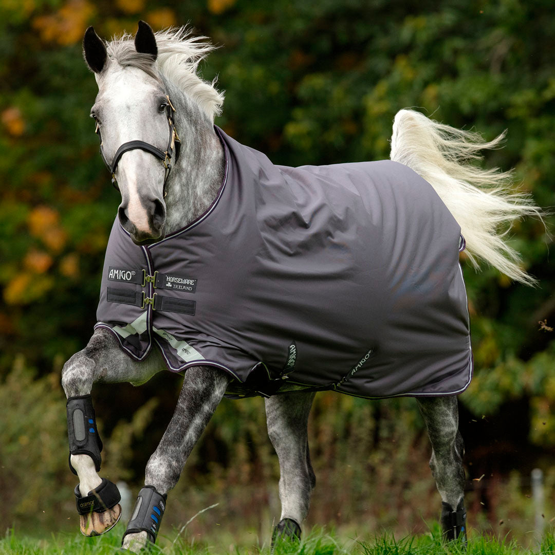 Horseware Ireland Amigo Bravo 12 Original 250g Medium Turnout Rug #colour_excalibur-plum-silver
