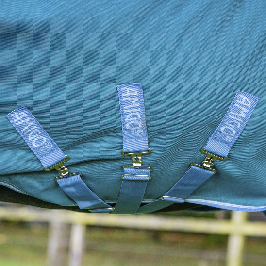 Horseware Ireland Amigo Bravo 12 Wug 250g Medium Turnout Rug #colour_storm-green-turquoise-aqua