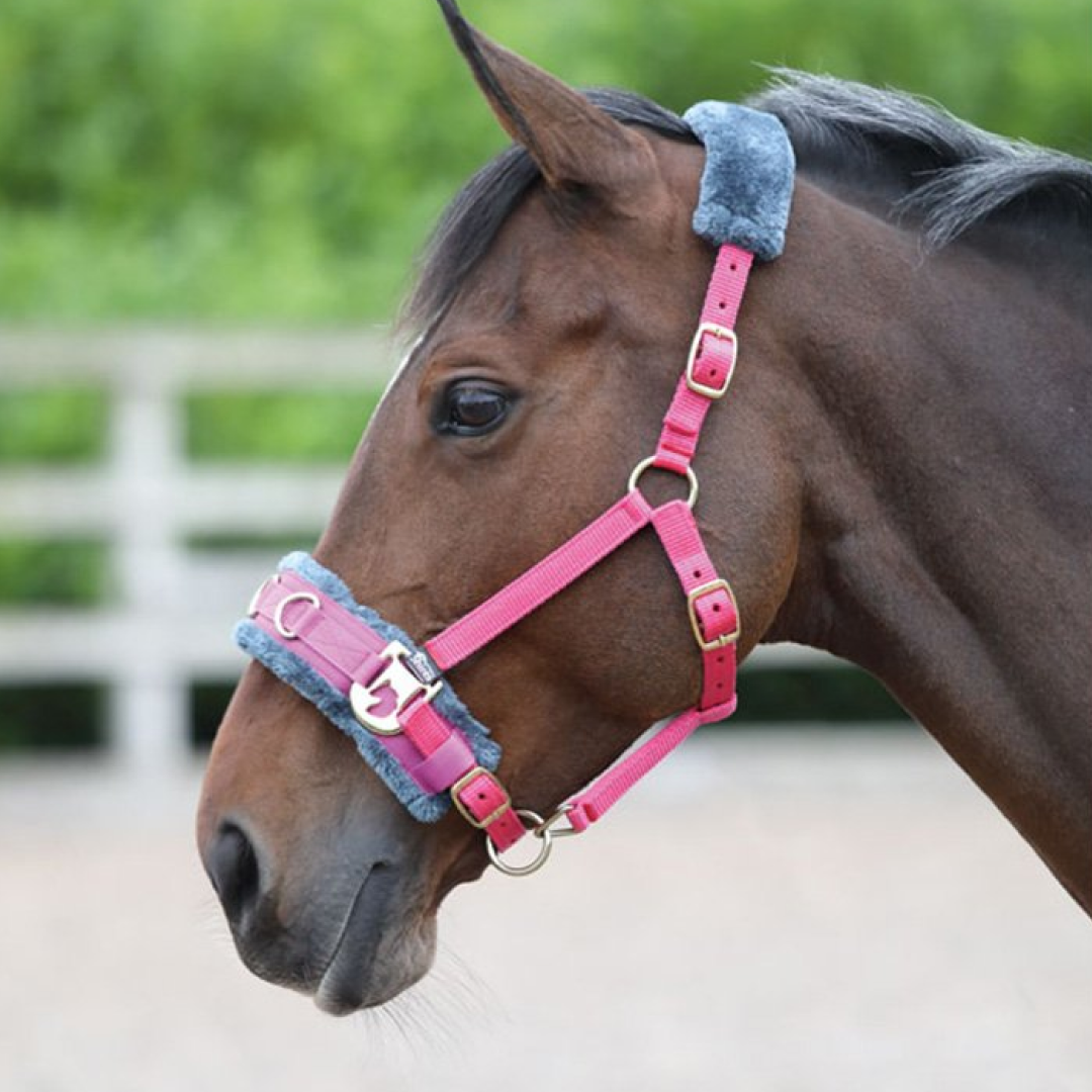 Arma Fleece Lined Lunge Cavesson #colour_pink