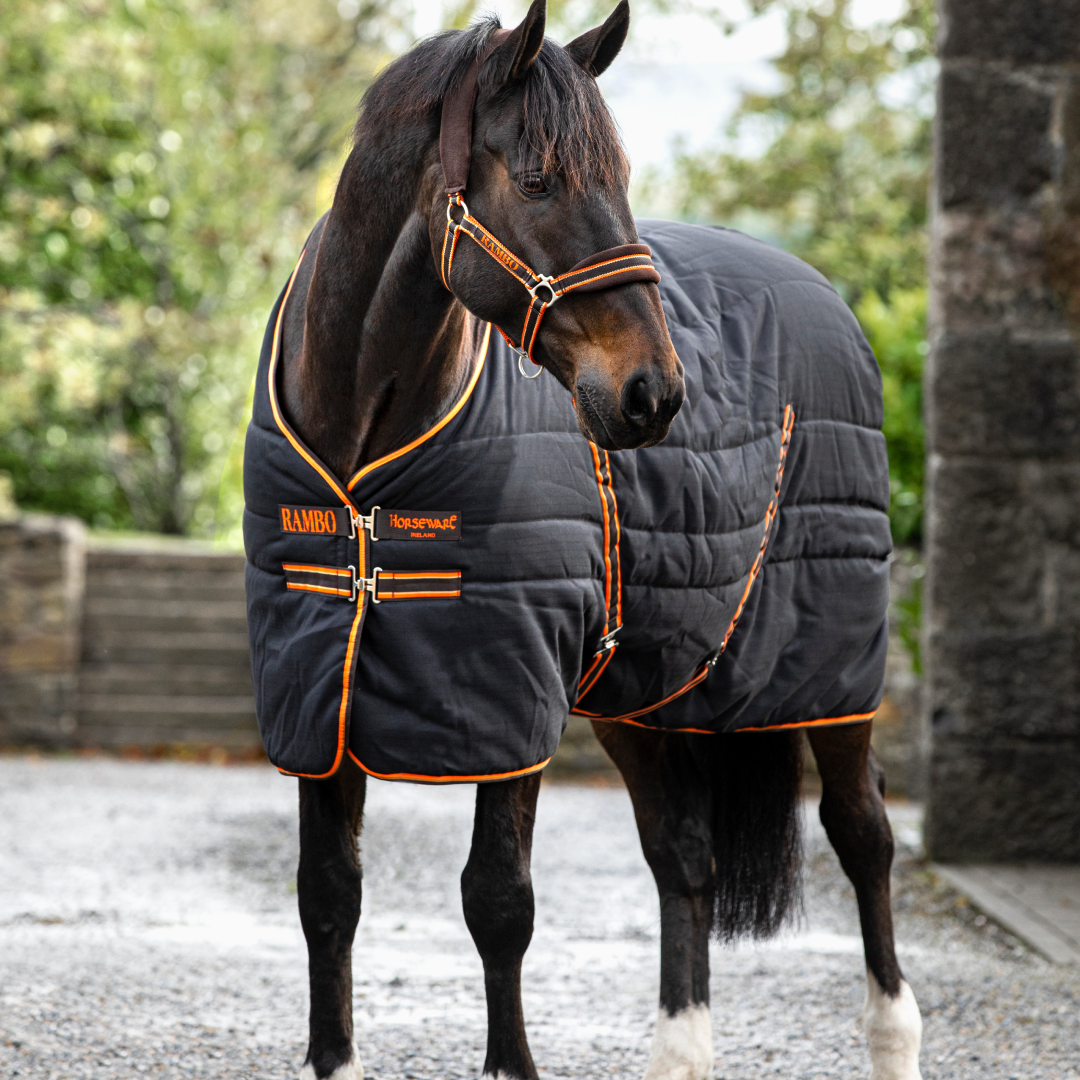 Horseware Ireland Rambo Stable 200g #colour_black-orange-tan-brown