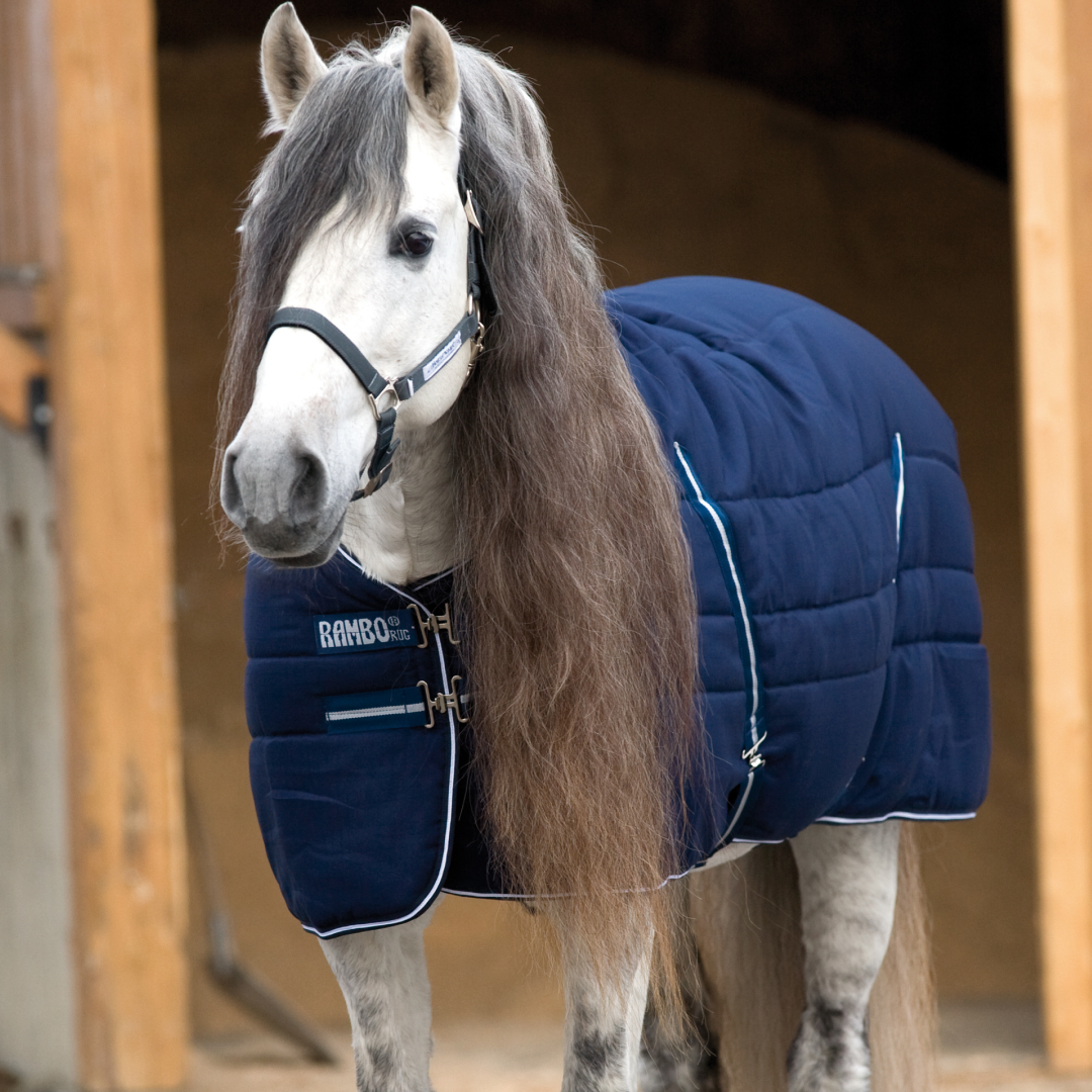 Horseware Ireland Rambo Stable 400g #colour_navy-white