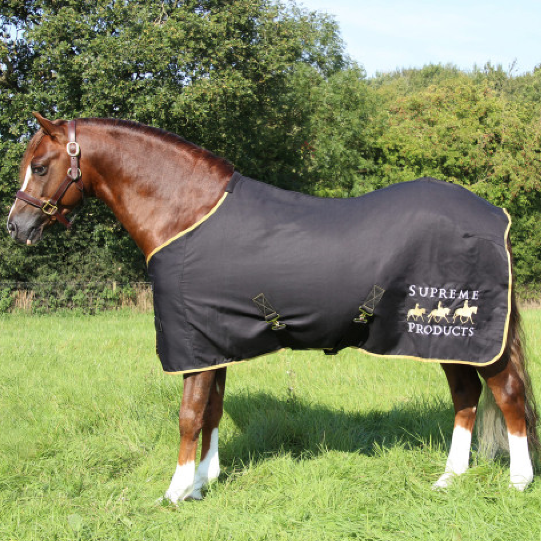 Feuille d'exposition des produits suprêmes