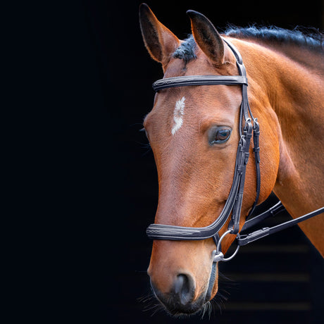 Shires Salisbury Berkeley Anatomical Cavesson Bridle #colour_black