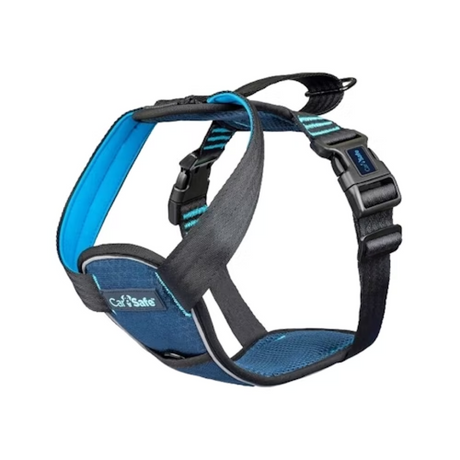 Harnais pour chien testé en cas de collision Carsafe
