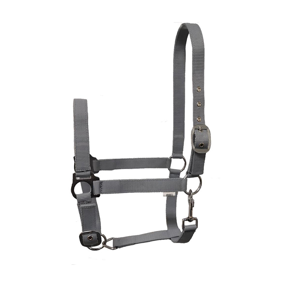 GS Equestrian Economy Halfter