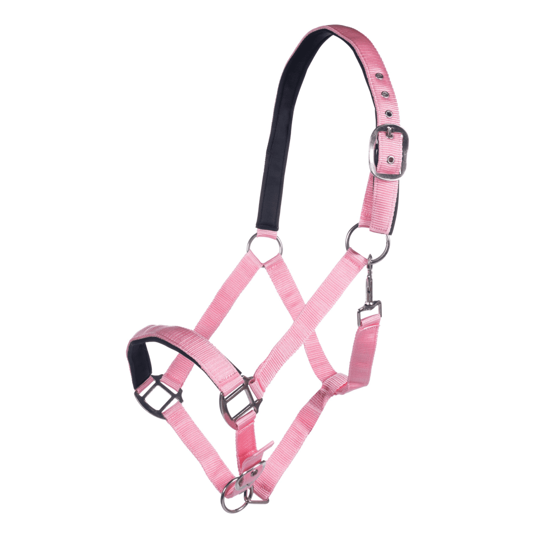 HKM Charming Head Collar #colour_rose
