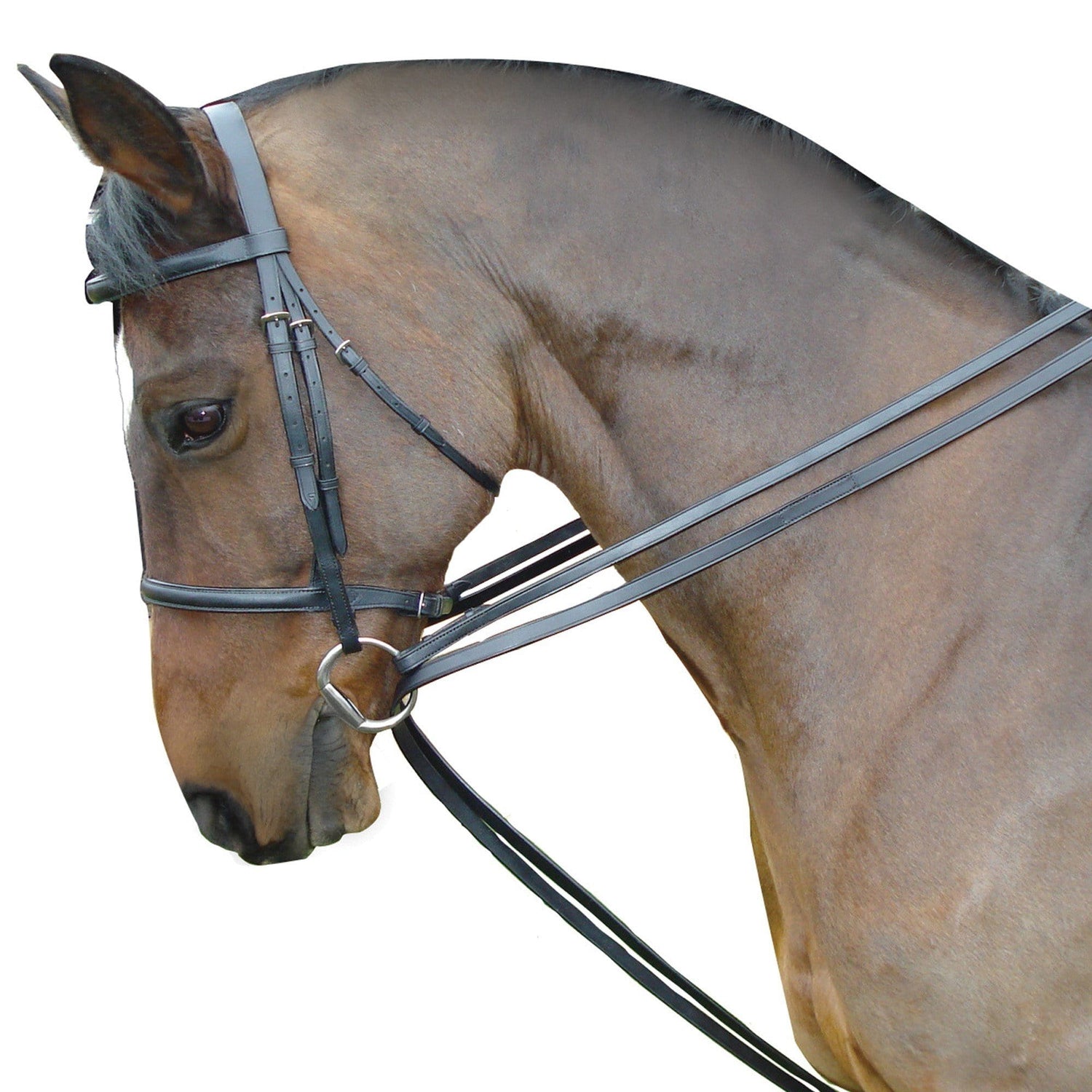 Ensemble de rênes de tirage en cuir Kincade