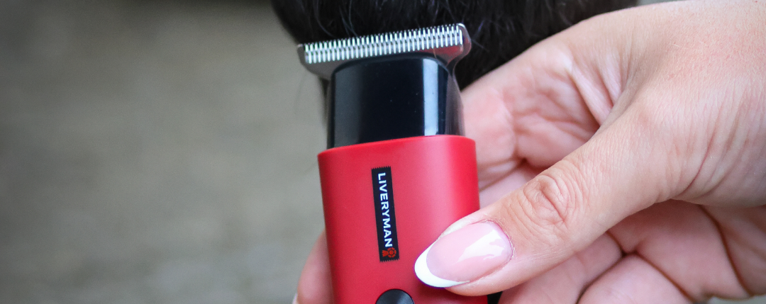 Robin: The Pocket-Sized Trimmer Every Grooming Kit Needs