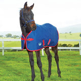 Weatherbeeta 1200D Foal Standard Neck Medium II