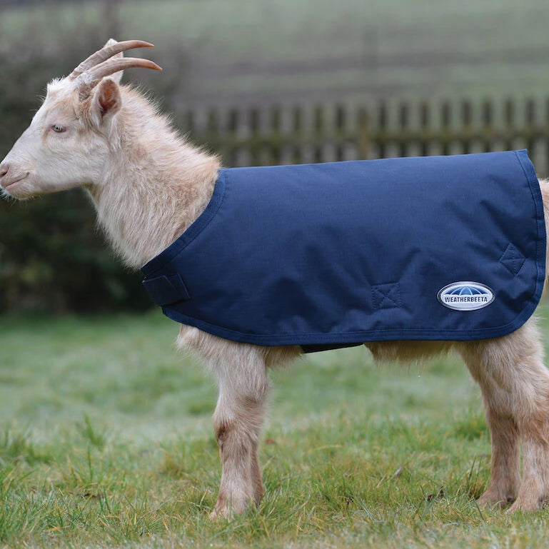 Weatherbeeta Goat Coat