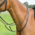 Kincade Classic Plain Raised Running Martingale #colour_black