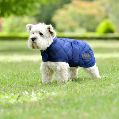 Weatherbeeta Comfitec Deluxe Diamond Quilt Dog Coat #colour_navy