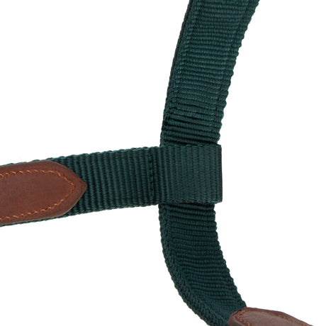 Shires ARMA Porto Headcollar #colour_green