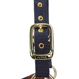 Shires ARMA Porto Headcollar #colour_navy