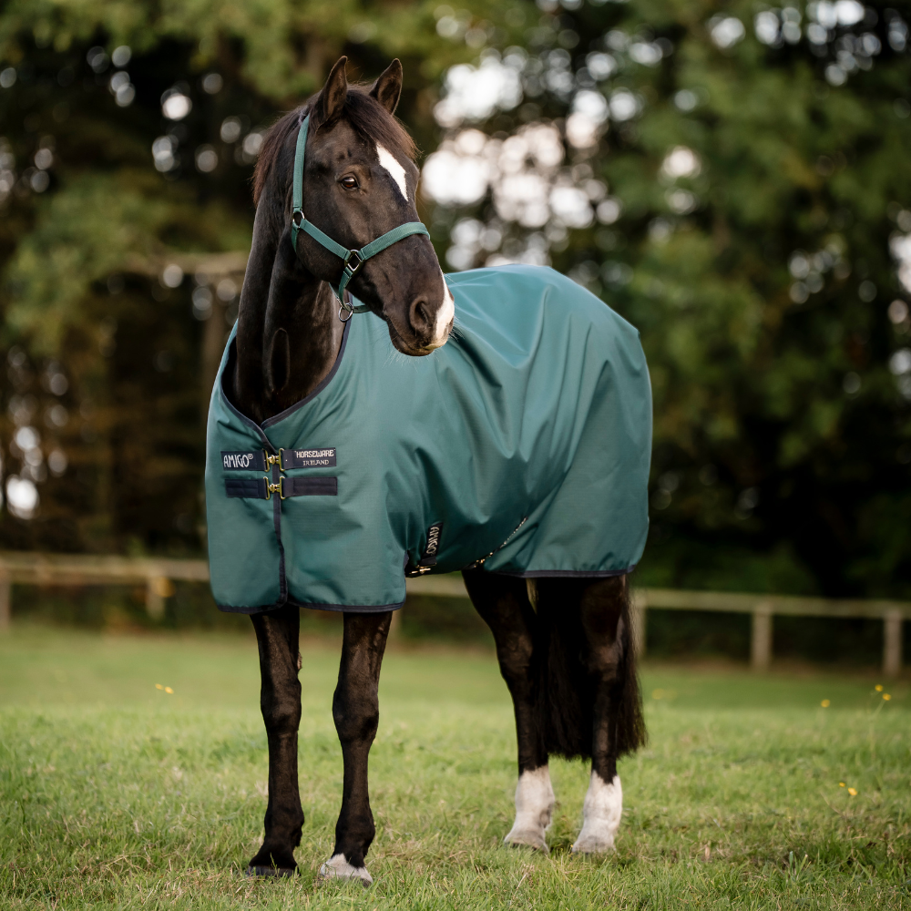 Horseware Ireland Amigo Ripstop 900D 200g Turnout Rug #colour_dynasty-green-navy-silver