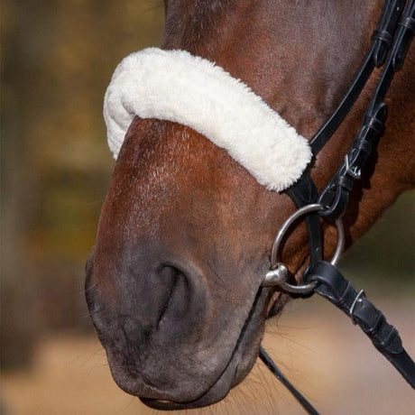 Waldhausen Synthetic Fabric Noseband Cover #colour_cream