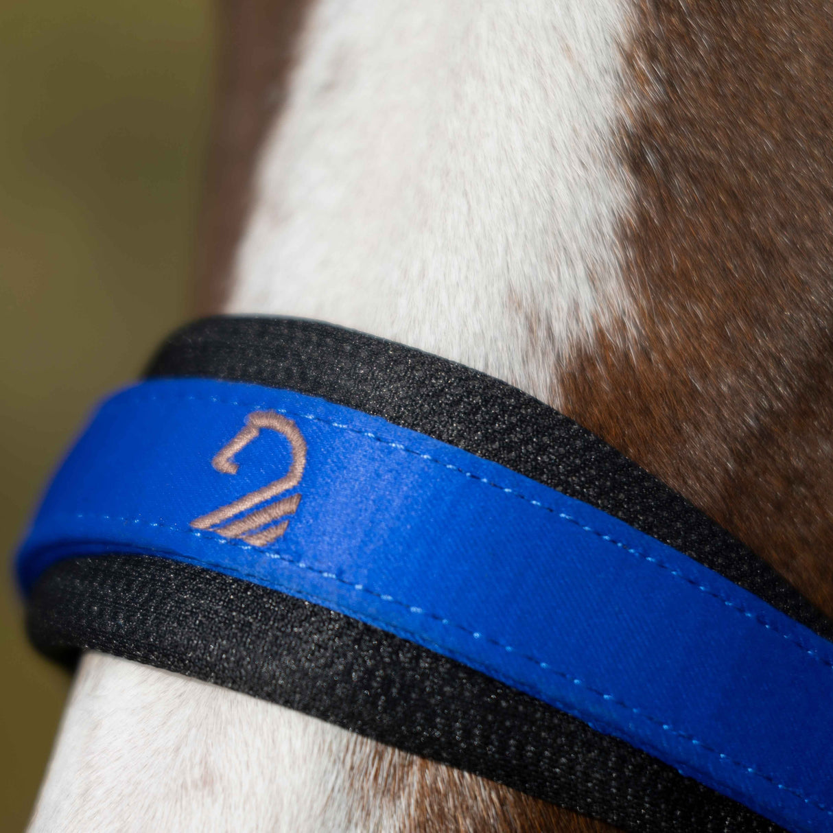 HKM Head Collar -Amalfi- #colour_blue