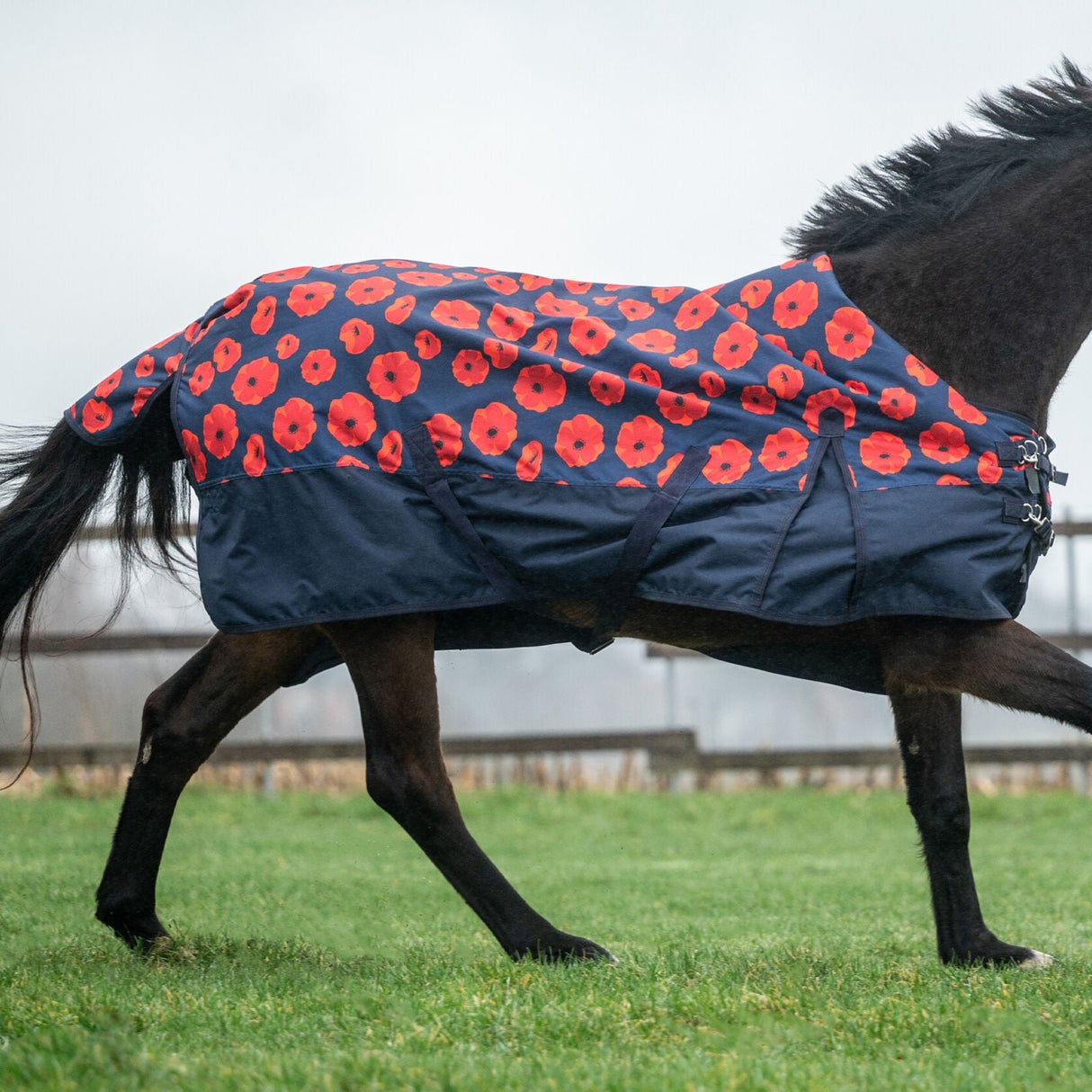 HKM 600D 100g Turnout Rug -Poppy- #colour_flower