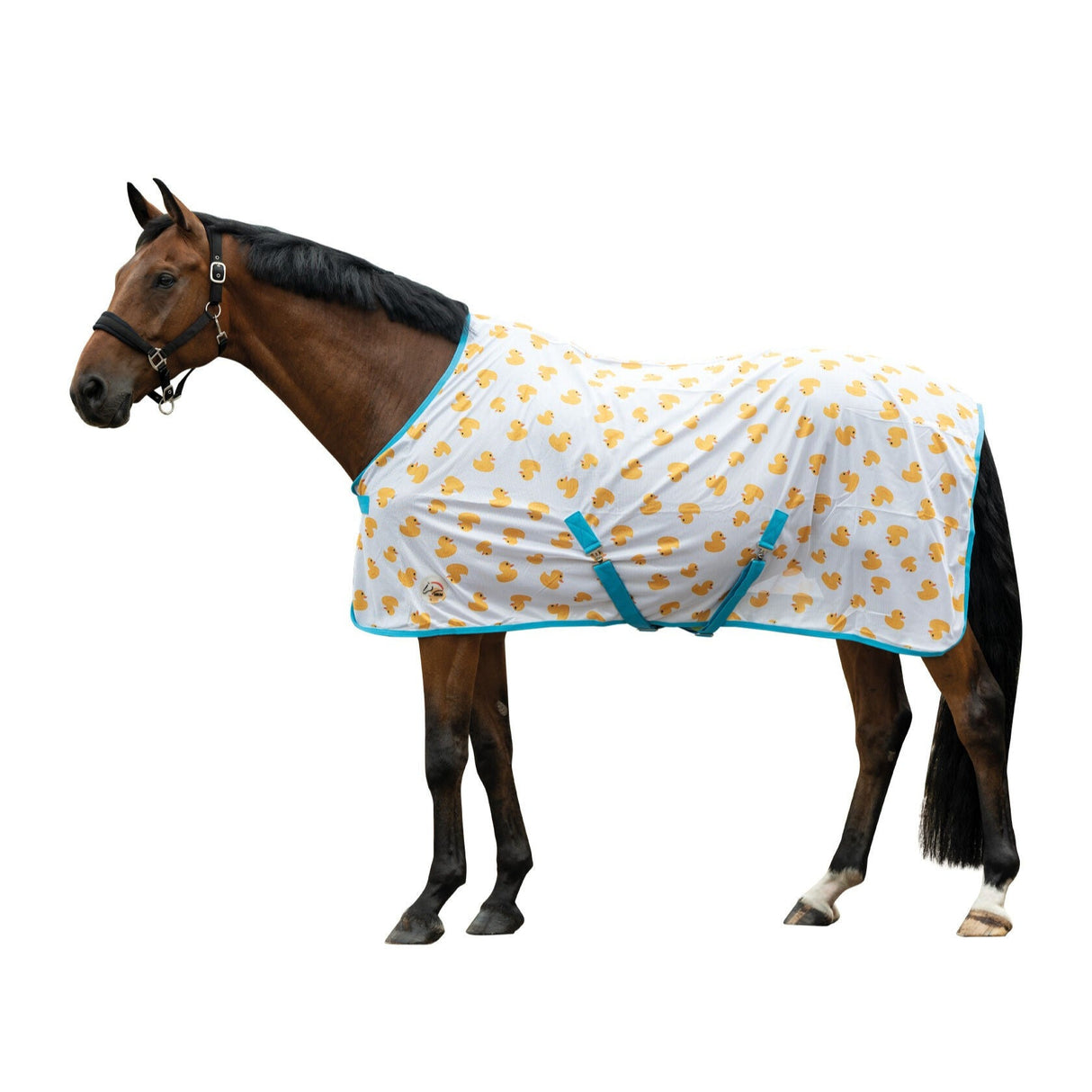 HKM Fly Rug -Naples- #colour_blue-yellow