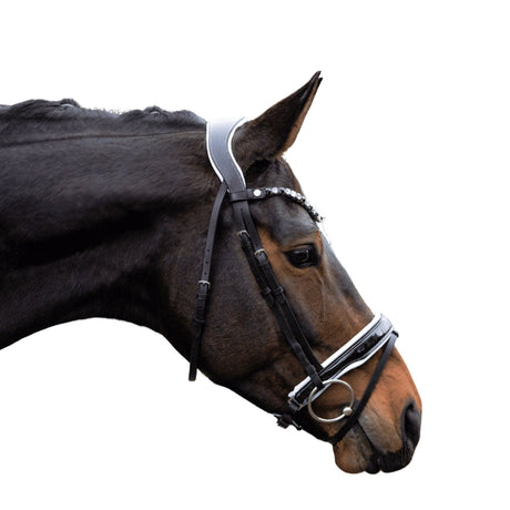 HKM Bridle -Manchester- #colour_black-blue