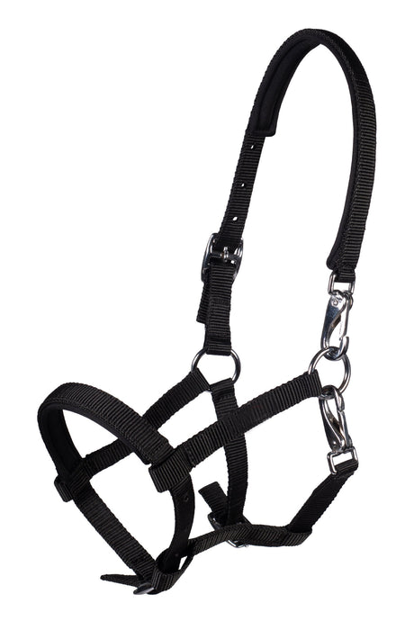 HKM Foal Head Collar -Millie- #colour_black