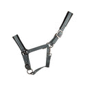 Hy Equestrian Vertiga Head Collar #colour_hunter-green