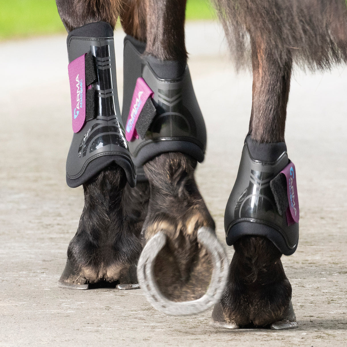 Shires ARMA Fetlock Boots #colour_black-plum