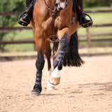 Shires ARMA Carbon Tendon Boots #colour_black