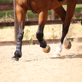 Shires ARMA Carbon Training Boots #colour_black