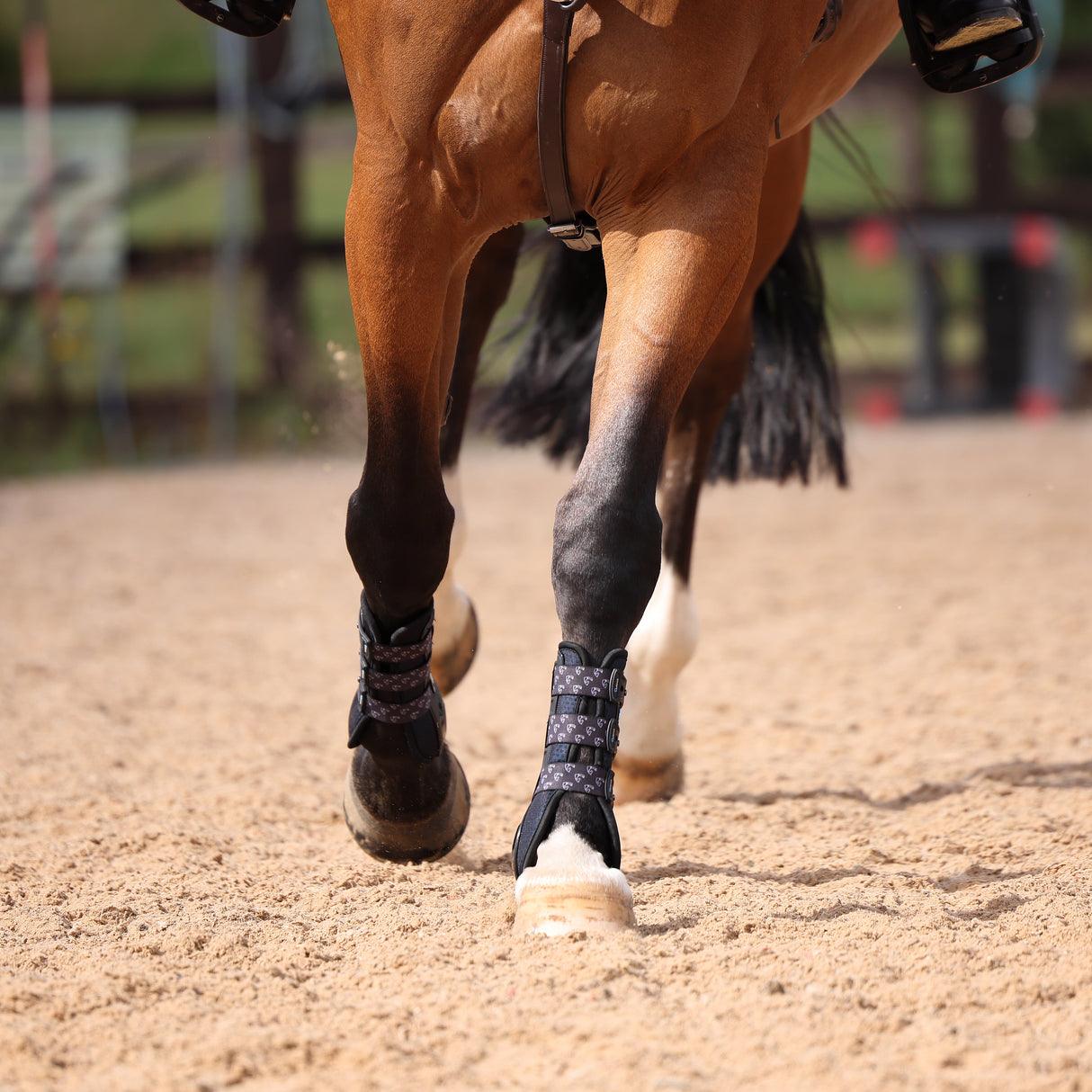 Shires ARMA Carbon Training Boots #colour_black