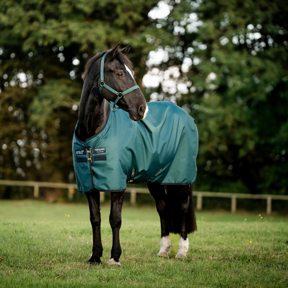 Horseware Ireland Amigo Ripstop 900D 100g Pony Turnout Rug