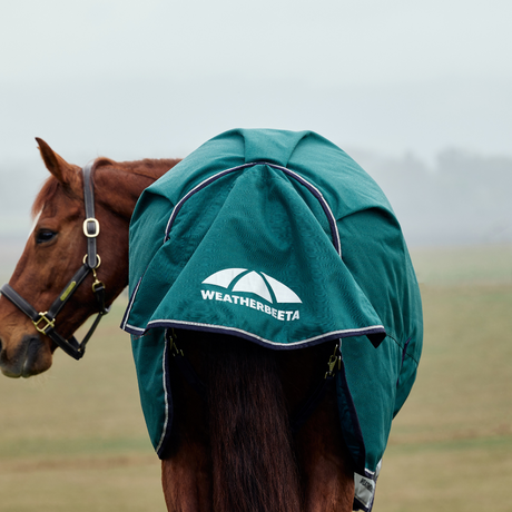 Weatherbeeta Comfitec Plus Dynamic 100G High Neck Turnout #colour_forest-green-navy