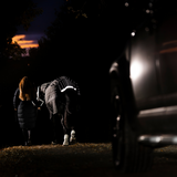 Horseware Ireland Amigo 1200D FieldSafe Reflectech Plus 250g Turnout Rug #colour_black-reflective-black