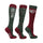 HYCONIC Pattern Socks by Hy Equestrian Pack of 3 #colour_green-purple