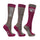 HYCONIC Pattern Socks by Hy Equestrian Pack of 3 #colour_grey-purple