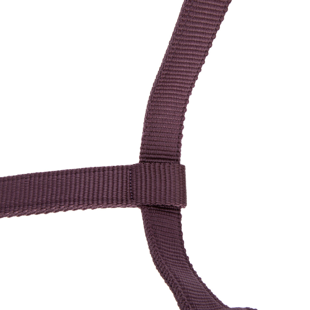 Shires ARMA Padded Headcollar #colour_black-cherry