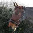 HYCONIC Faux Fur Head Collar & Lead Rope #colour_brown