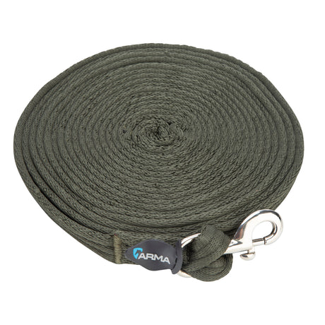 Shires Kissen -Web -Lunge -Linie