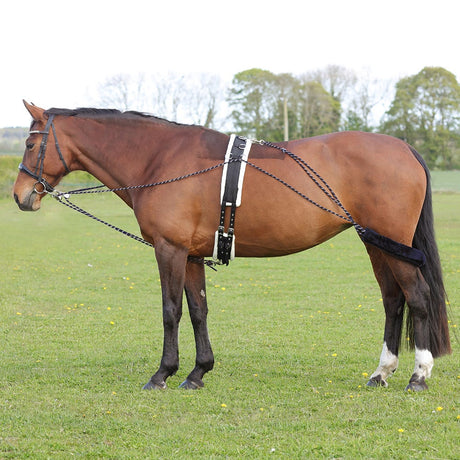 Hy Equestrian Lunging System #colour_navy-grey