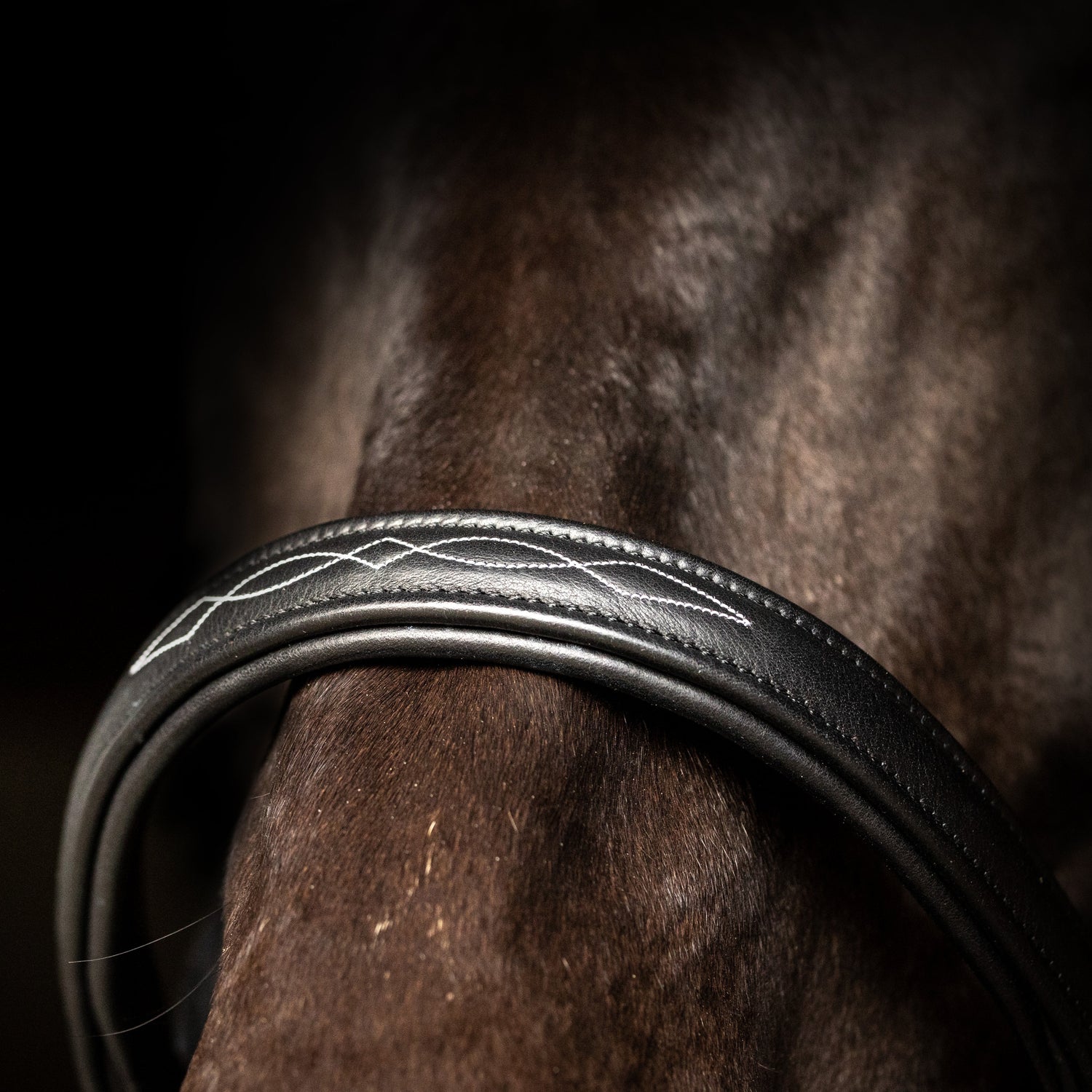 ProPresicce Softy Leather Head Collar by Hy Equestrian #colour_black-silver
