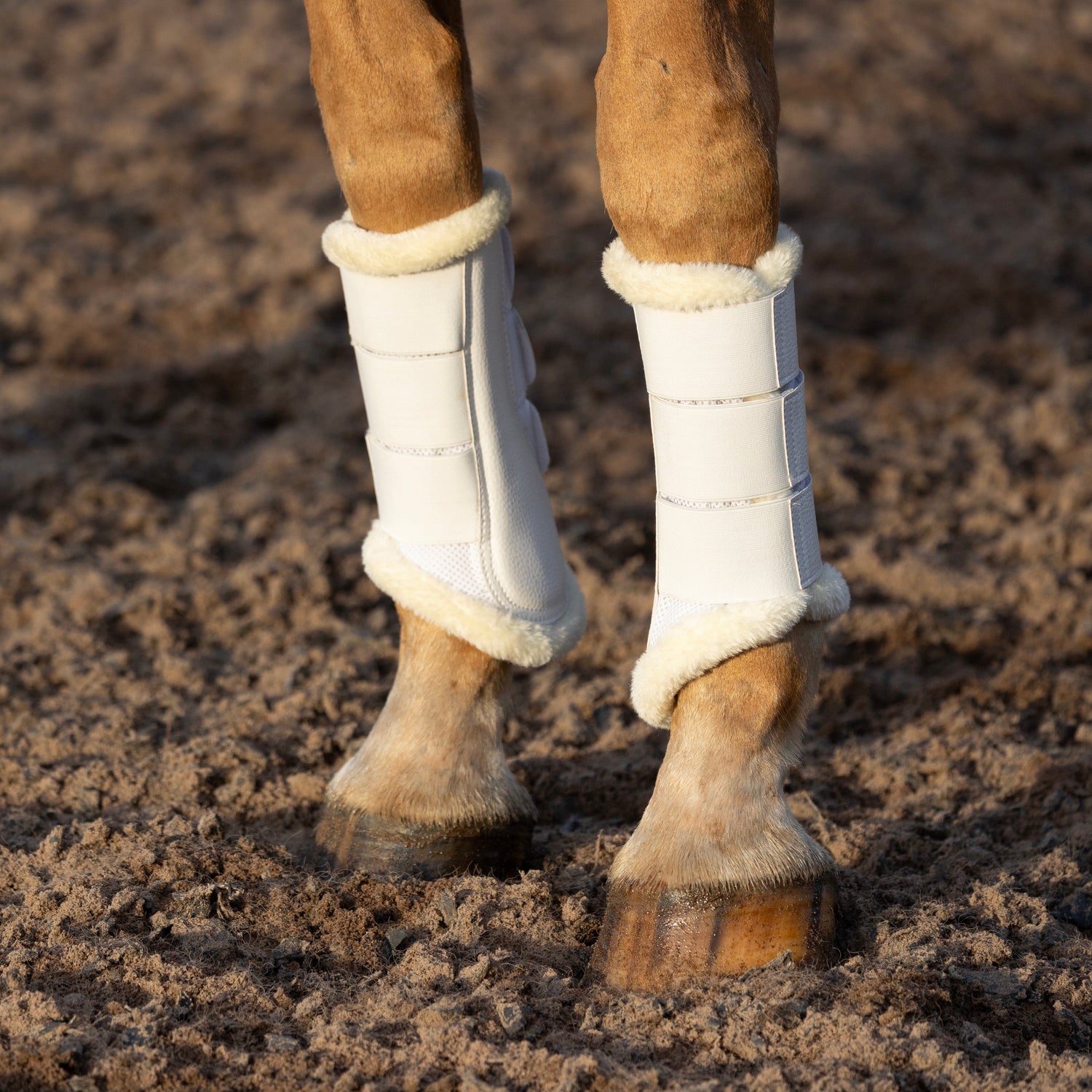 ProReaction Performance Air Mesh Brushing Boots by Hy Equestrian #colour_white