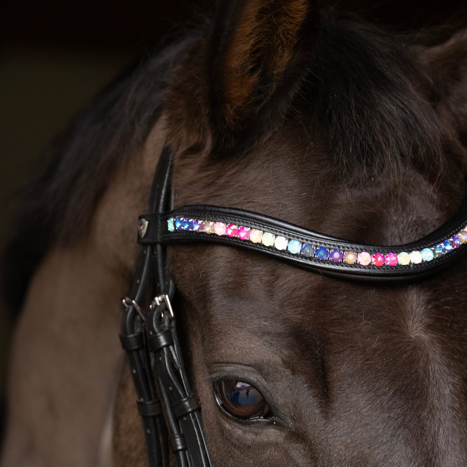 ProPresicce Signature Curved Diamante Browband by Hy Equestrian #colour_black-with-rainbow-diamantes
